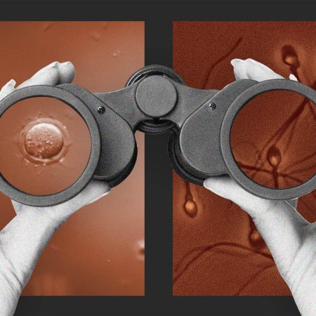 Future of infertility